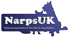 Dog trainer bedford